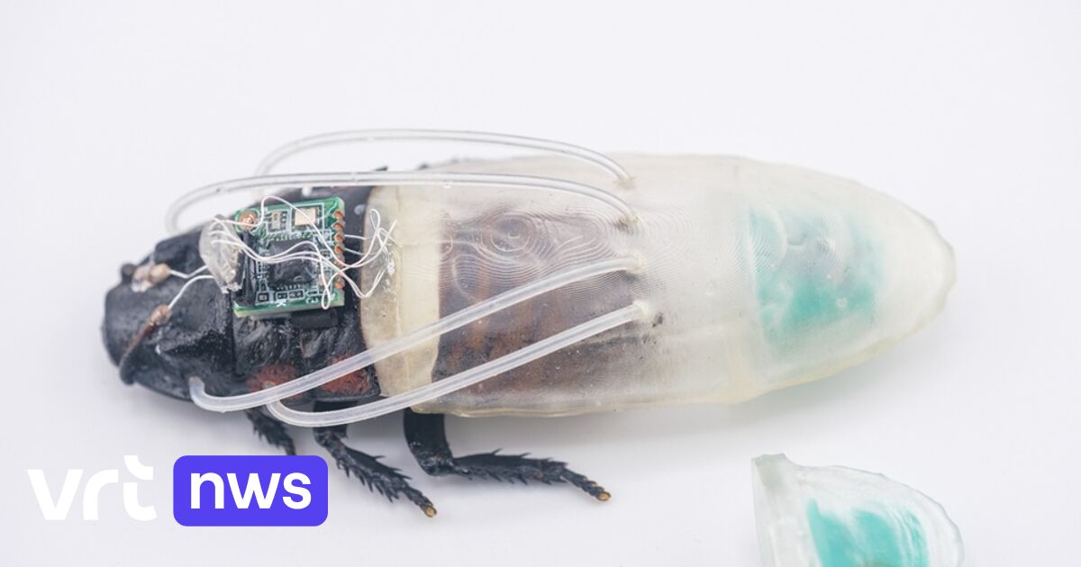 Scientists create 3D-printed diving suit for cockroaches on rescue missions