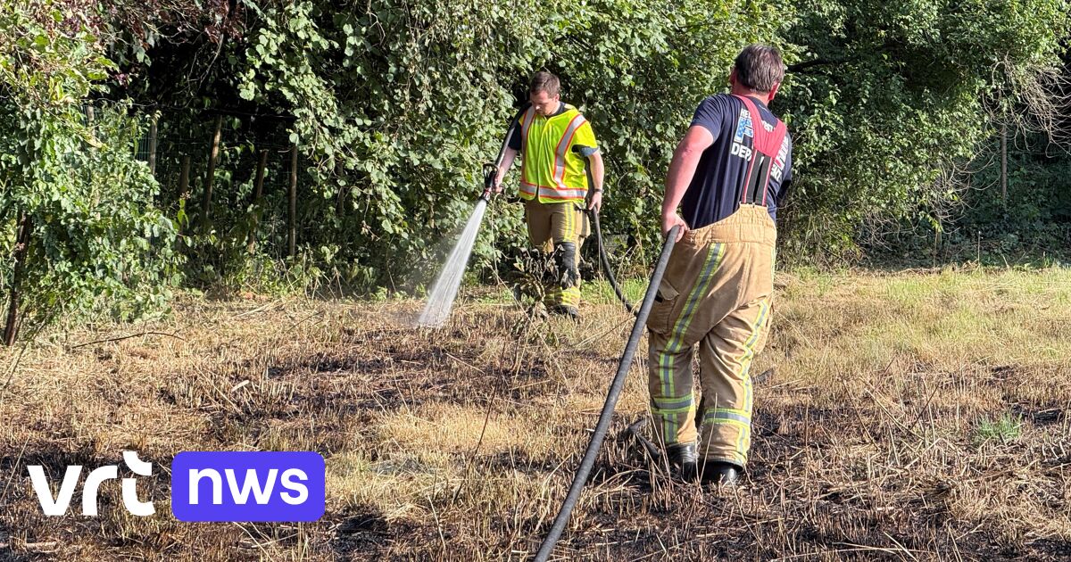 Brandweer Westhoek waarschuwt na weidebrand bij Gasthuisbossen Ieper: 