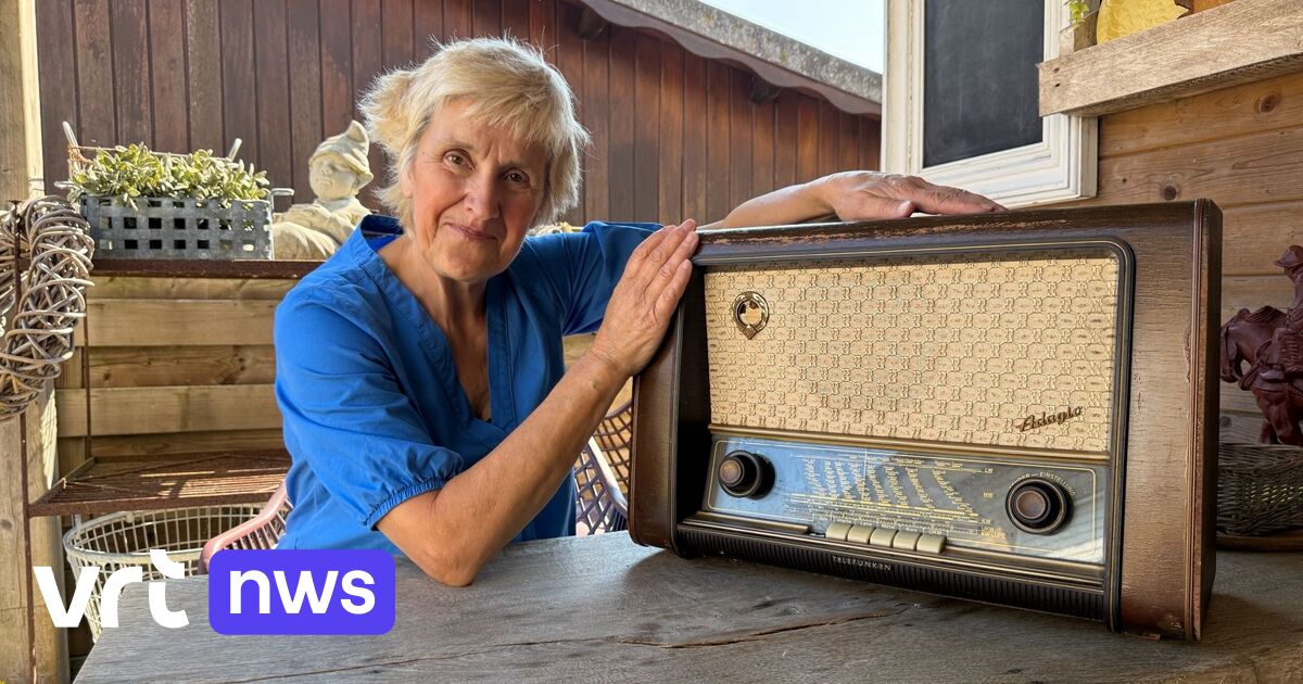 Marianne (68) uit Ieper ontdekt nest Aziatische hoornaars in radio van 70 jaar oud: 