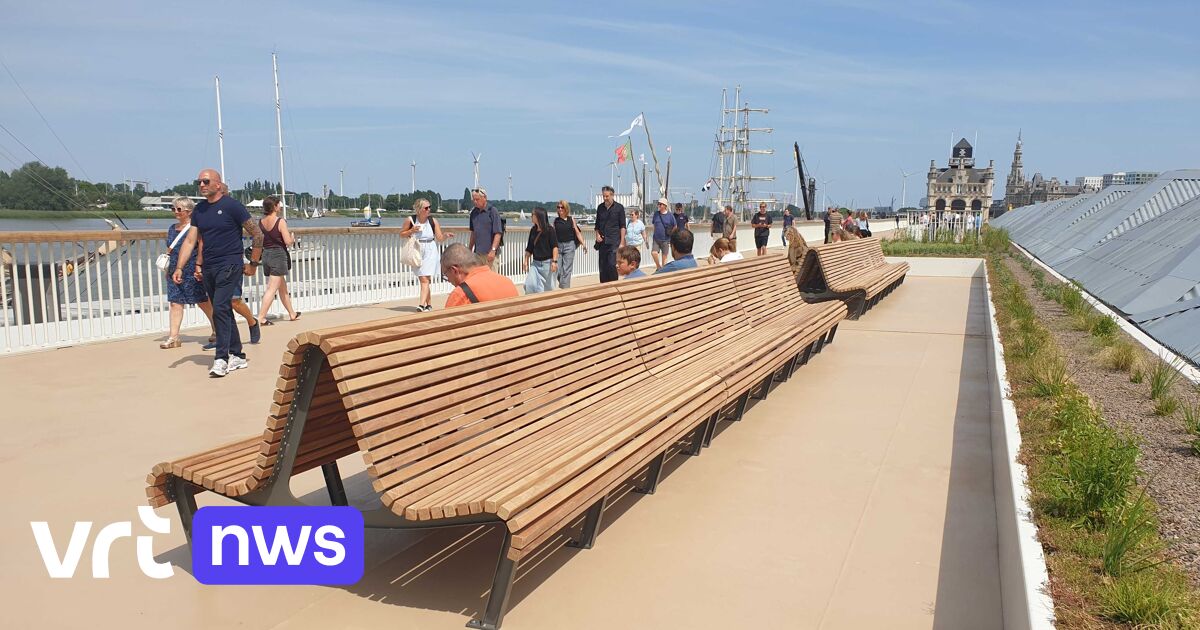 Hangars en wandelterras aan Steen in Antwerpen gerenoveerd: 