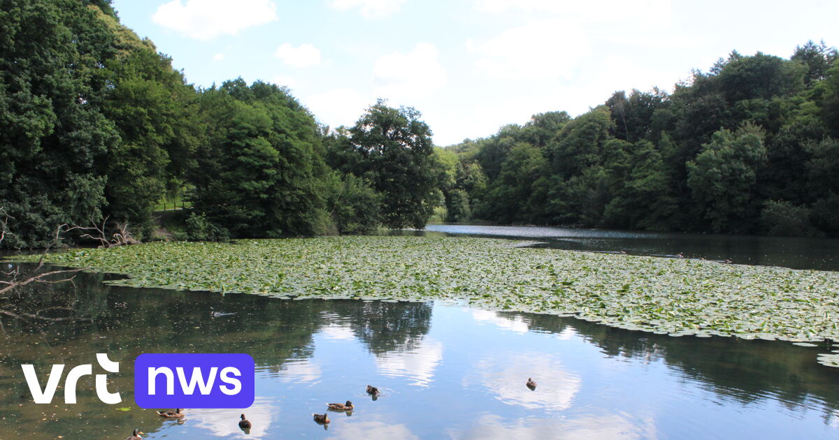 New 90-kilometre walking trail in Forests of Brabant National Park to link Halle with Leuven