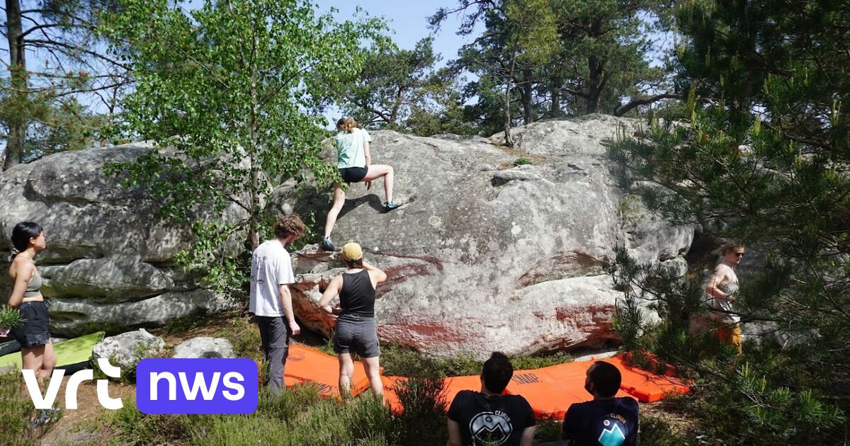 Verwoeste Fontainebleau is een klimparadijs: 