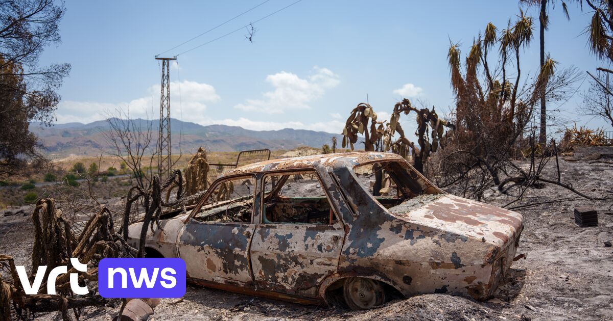 Belgians feared dead as 13 die in Spanish forest fires and 23 are missing