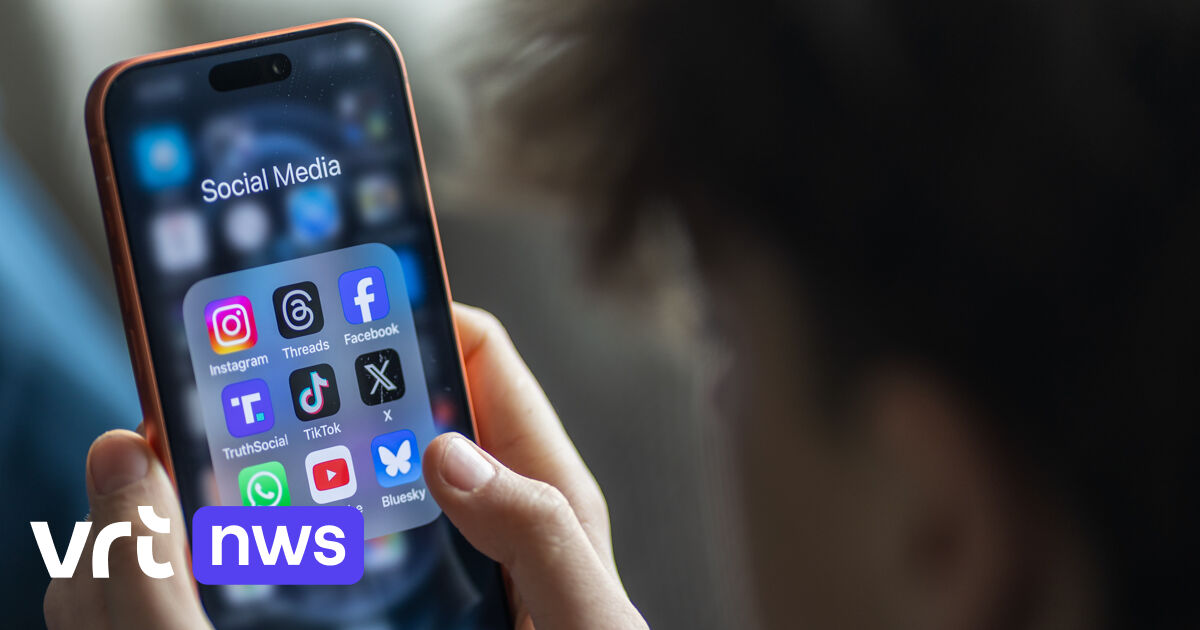 EU komt na de zomer met voorstel rond minimumleeftijd voor sociale media, experts pleiten voor grens van 13 jaar oud | VRT NWS Nieuws