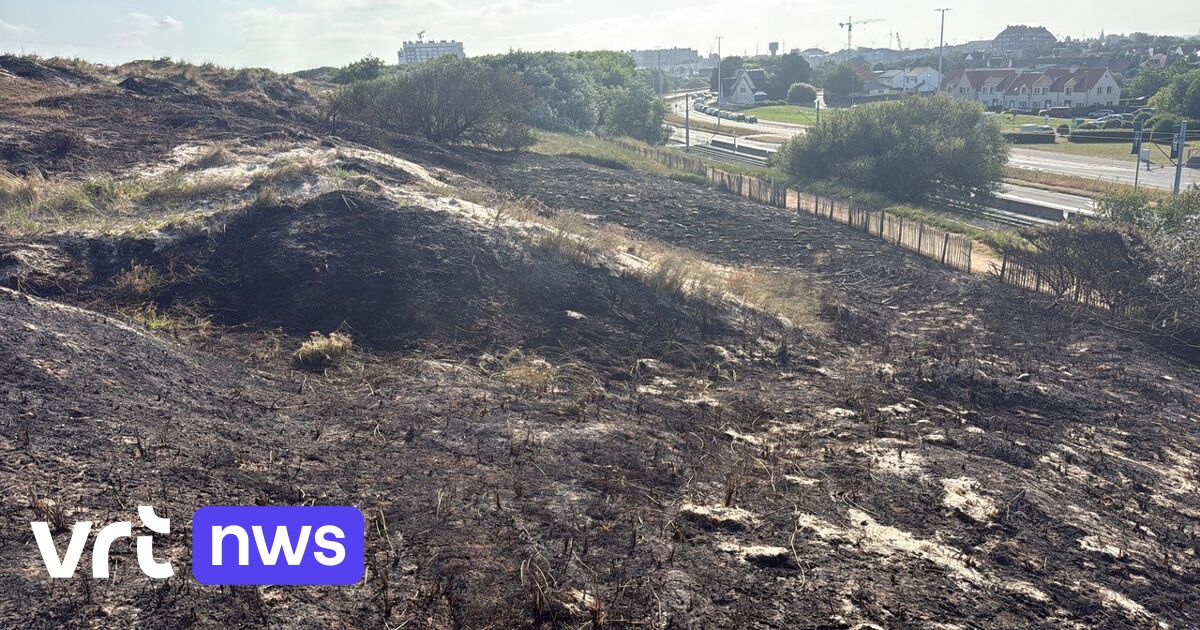 Schwerer Dünenbrand in De Haan zerstört 7.000 m² Vegetation