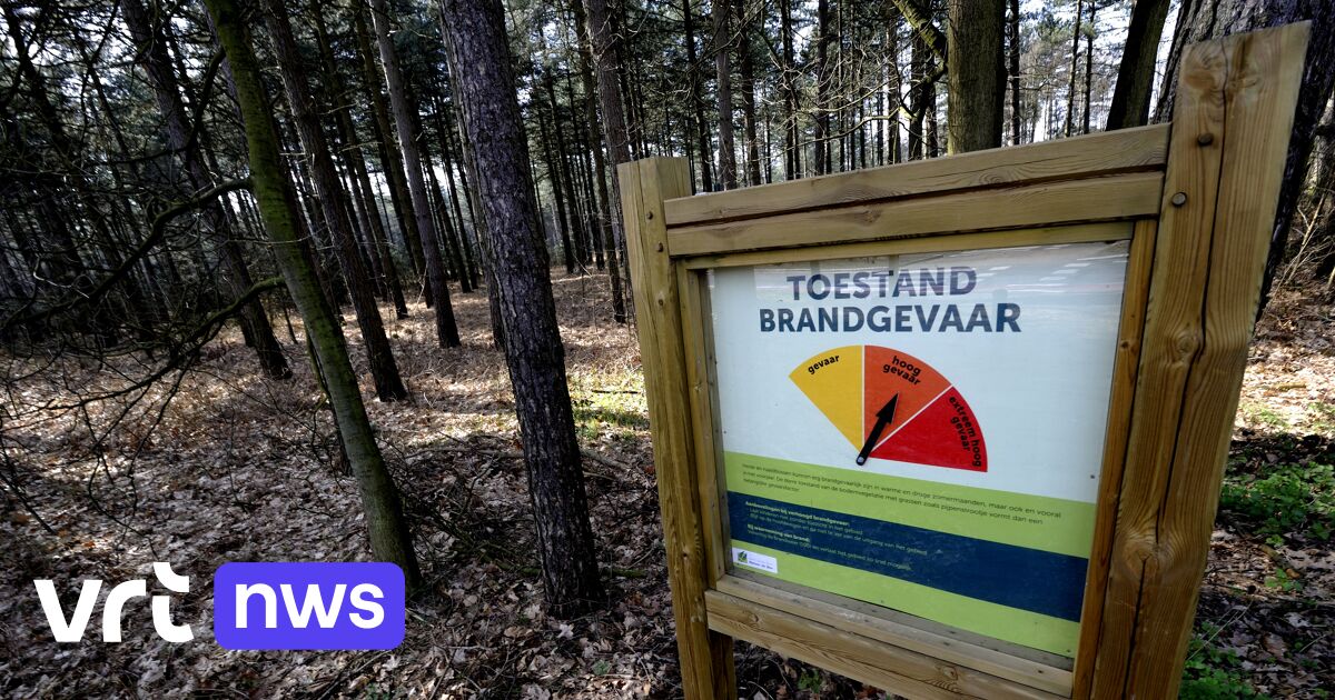 Über 30 Grad bis Ende der Woche: Warnstufe Orange wegen Waldbrandgefahr in Flandern