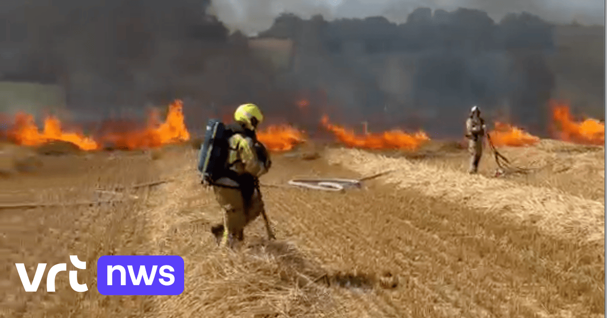 Grote veldbrand in Maarkedal onder controle: 