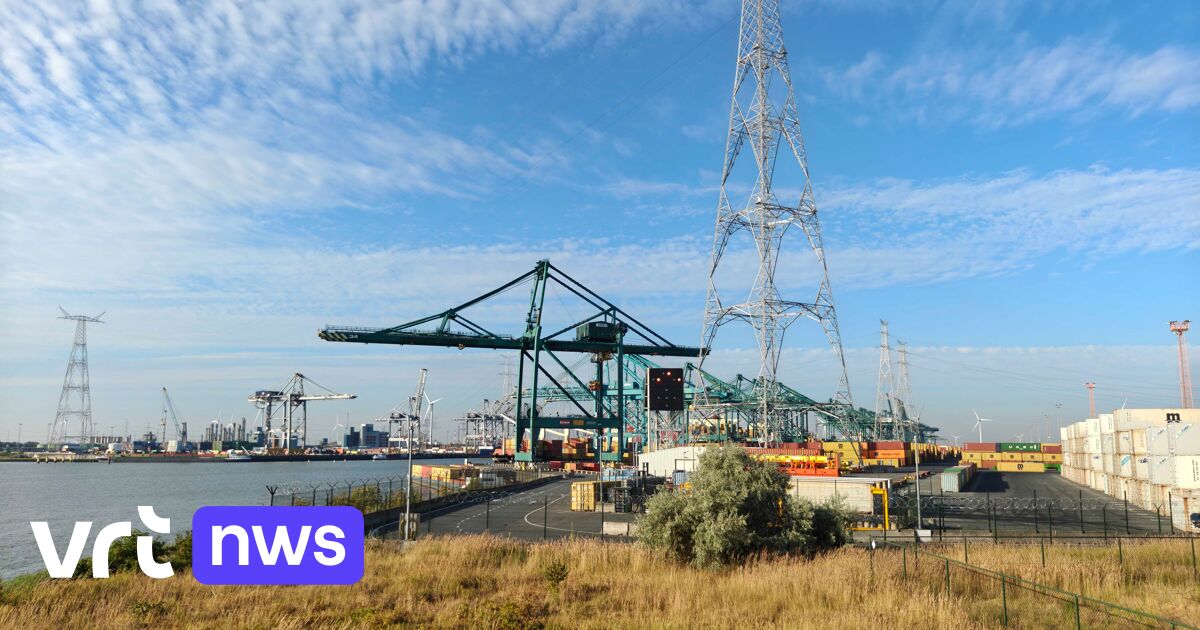 Giftig gas op schip in Antwerpen