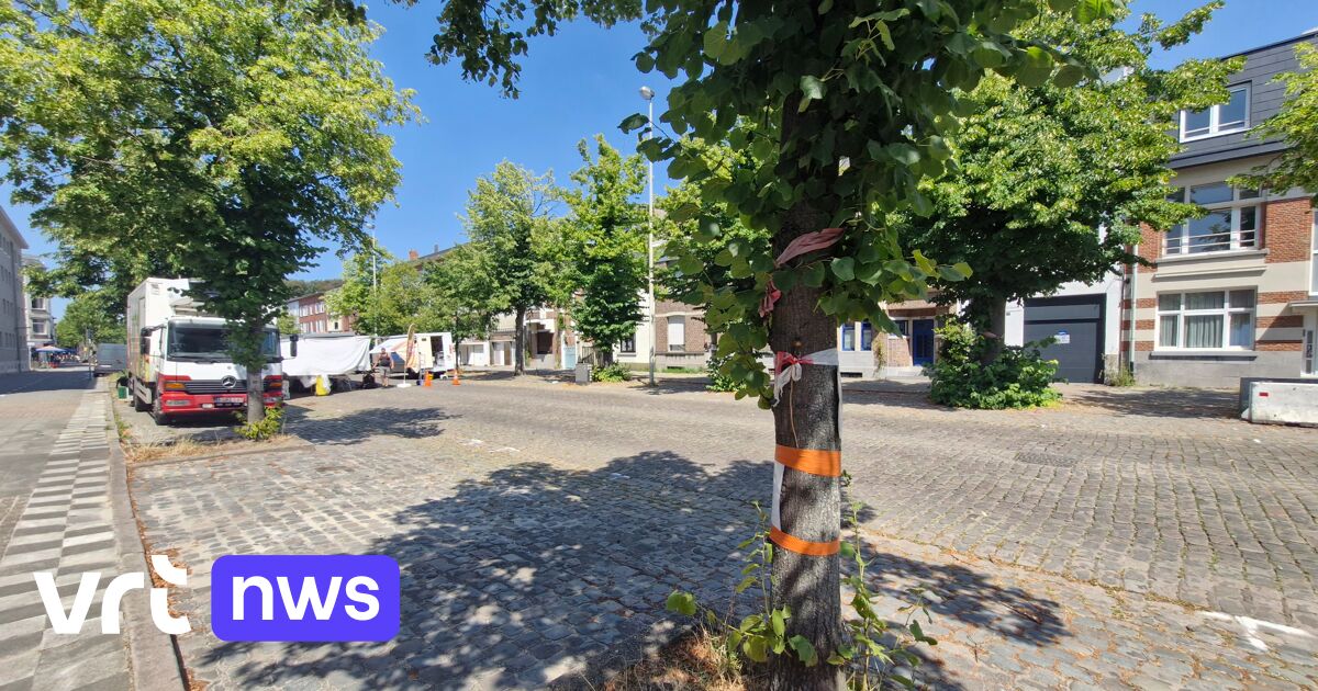PVDA lanceert petitie tegen bomenkap in Deurne-Zuid: 