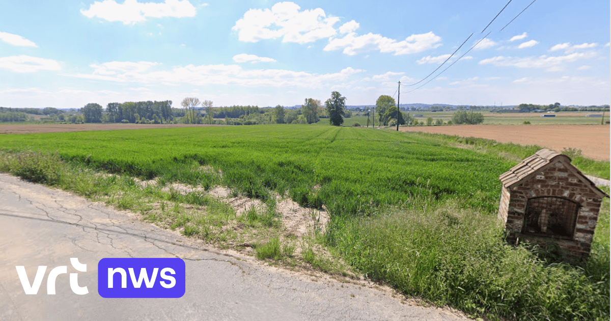 Honderden bezwaren en negatief natuuradvies tegen 220 meter hoge windturbine in Sint-Pieters-Kapelle