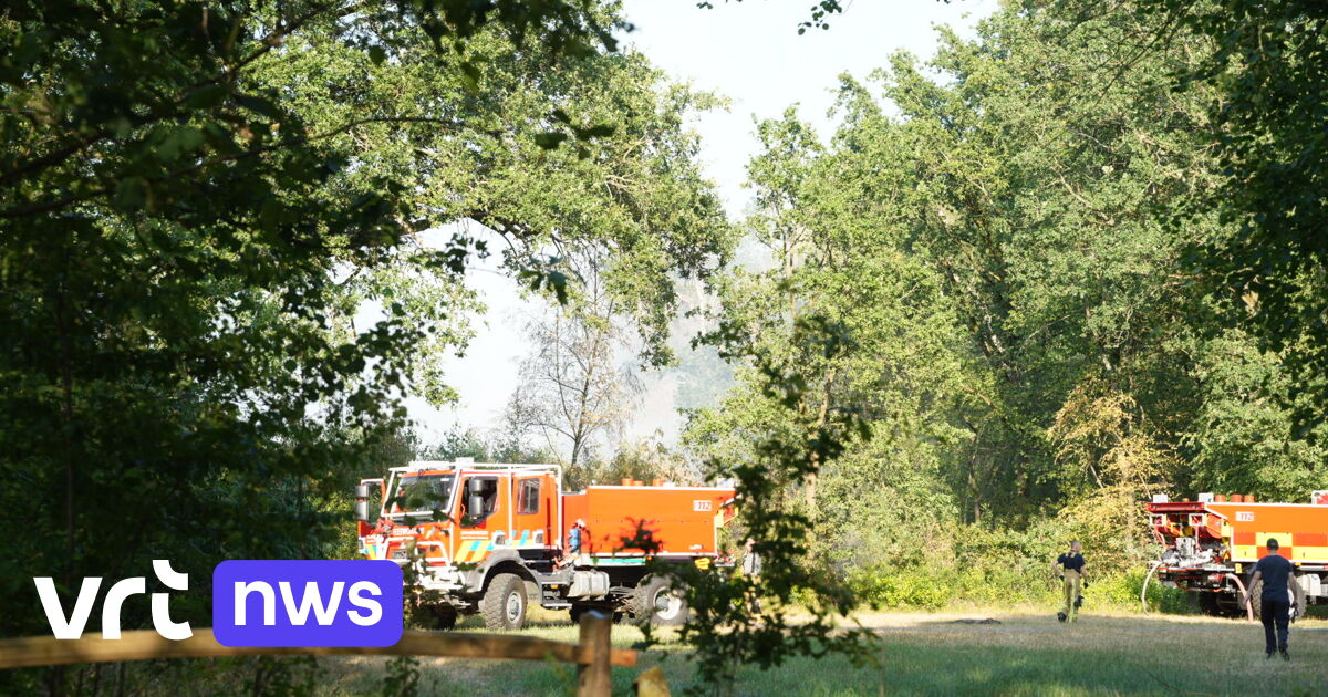 Brandweer blust vanochtend opnieuw na bij natuurbrand in Beringen: 5.000 vierkante meter natuurgebie