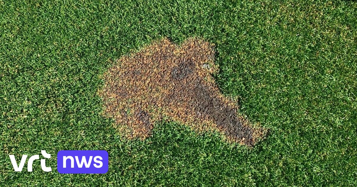 Voetbalclubs in Kampenhout nemen maatregelen na aanhoudend vandalisme: 