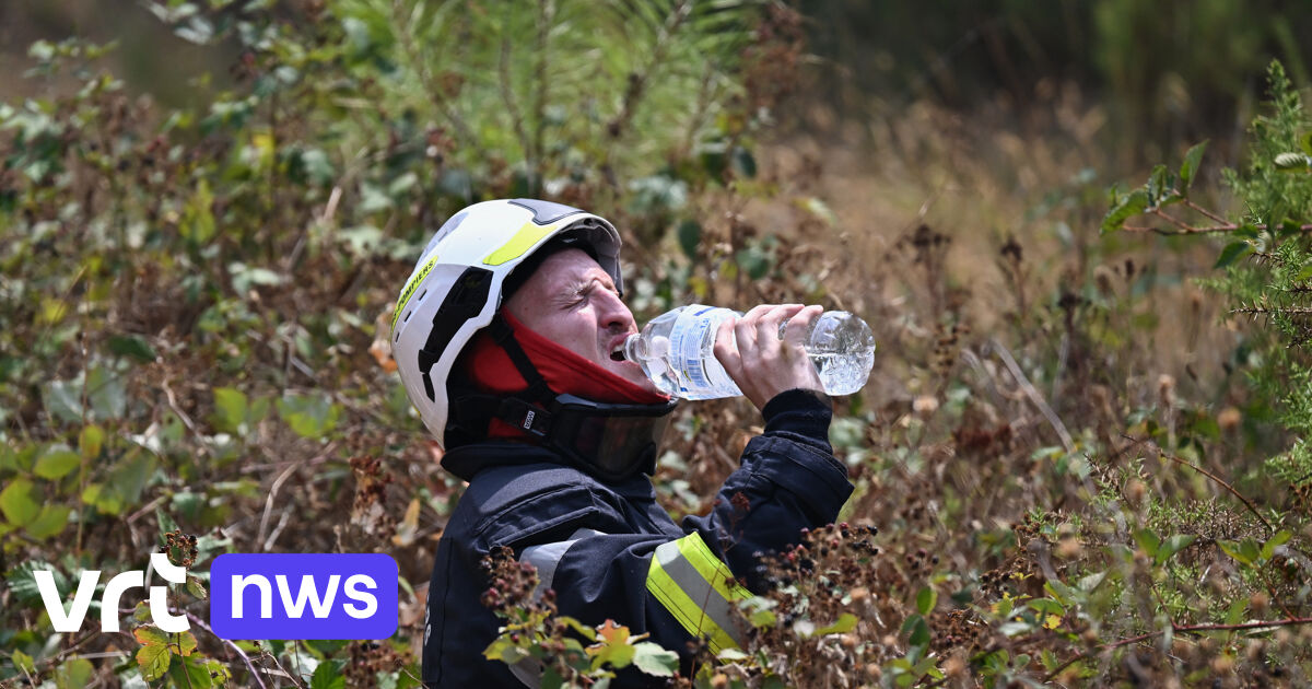 French wildfires: Belgium sends fire trucks to Bordeaux