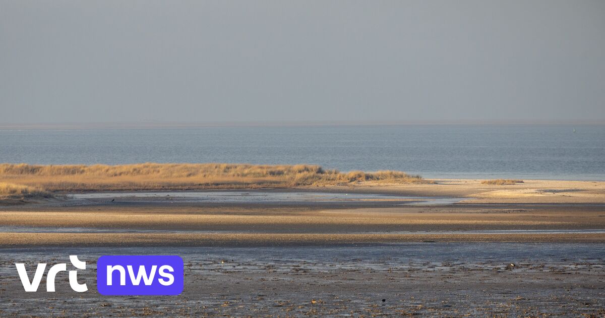 3 jaar nadat er op Texel enkele lichaamsdelen aangespoeld zijn, achterhaalt politie wie het zijn