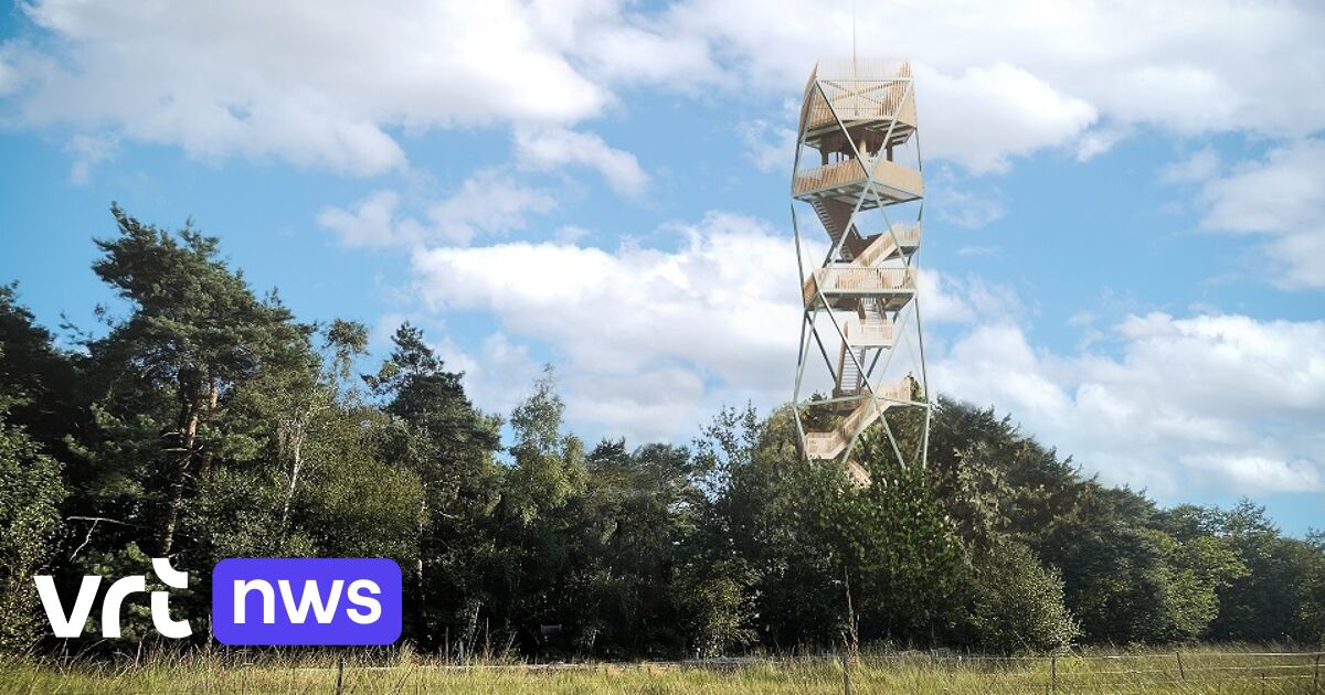 Boswachters op brandtoren in Kalmthoutse heide extra waakzaam: "Wind kan snel een vonkje aanwakkeren"