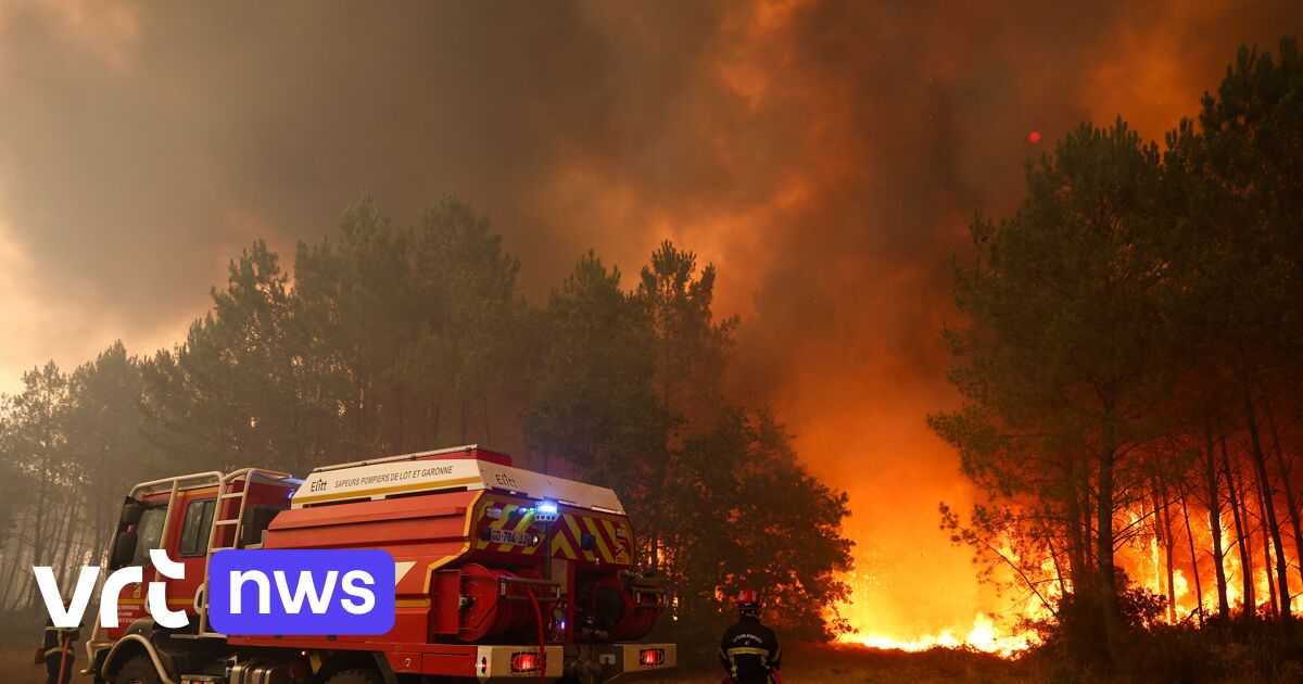 Waarom brandt het veel in de natuur bij Bordeaux?