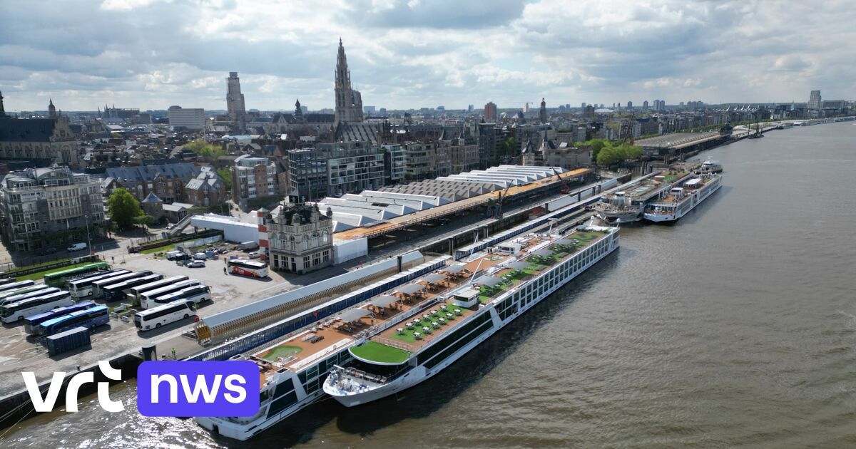 Niedrigwasser im Rhein: Immer mehr Fluss-Kreuzfahrtschiffe steuern den Antwerpener Hafen an