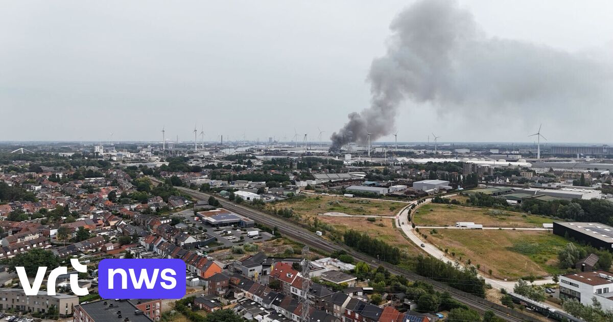 Afvalhoop vat vuur bij recyclagebedrijf in Gentse haven: brandweer probeert uitbreiding te voorkomen