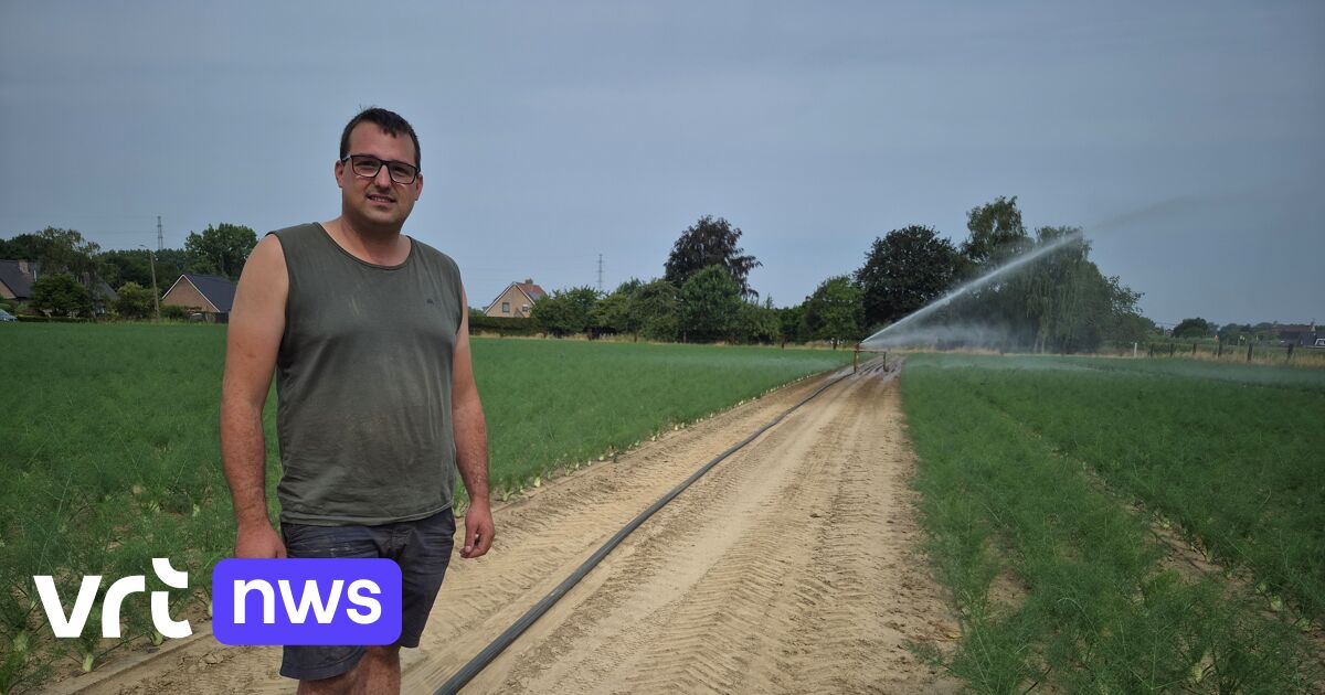 Landbouwer uit Merchtem staat 's nachts op om velden te besproeien: 