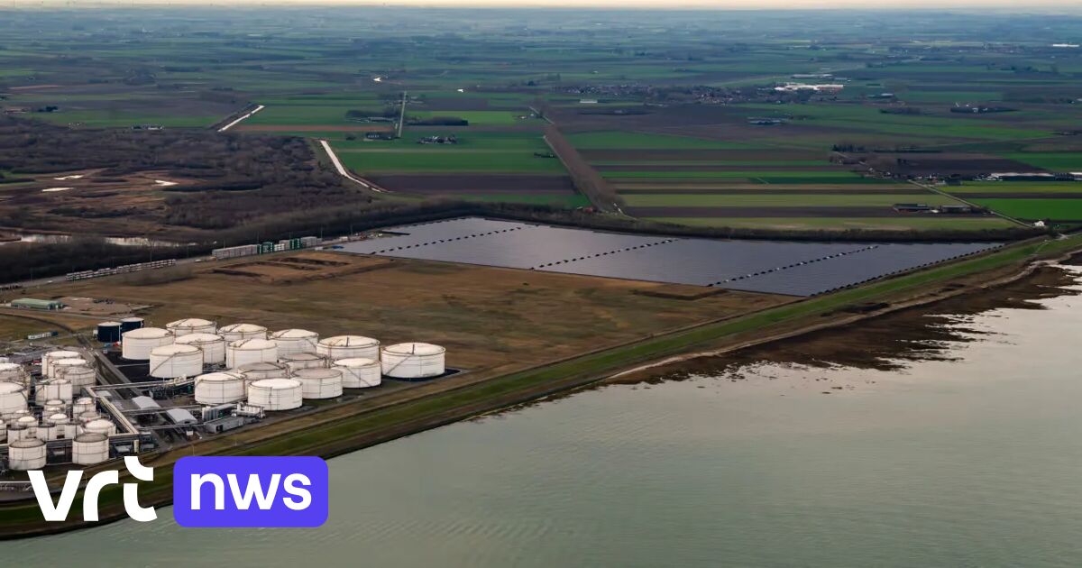 Assenede ziet kans op nieuwe Nederlandse kerncentrales vlak over grens toenemen