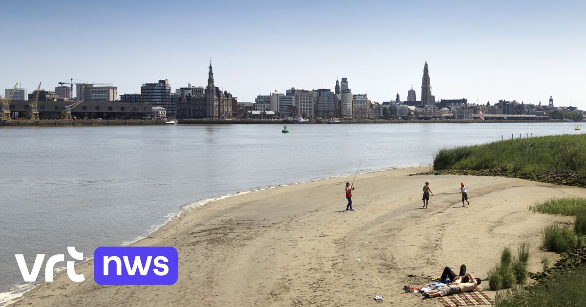 Trotz Dürre: Warum die Schelde von niedrigen Wasserständen verschont bleibt