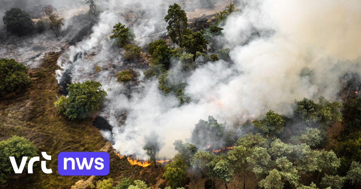 3 Limburgse brandweerzones keren huiswaarts na inzet bij Nederlandse bosbrand in buurt van Venray