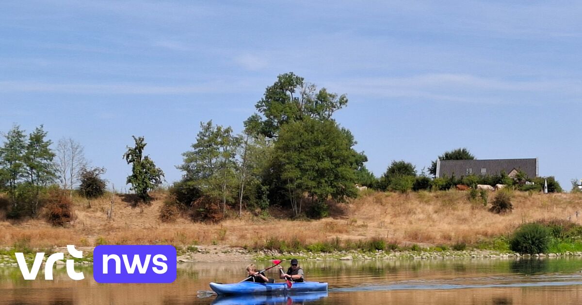 Terwijl droogte en lage waterstand Vlaanderen kopzorgen geven, is het op de Maas aangenaam kajakken