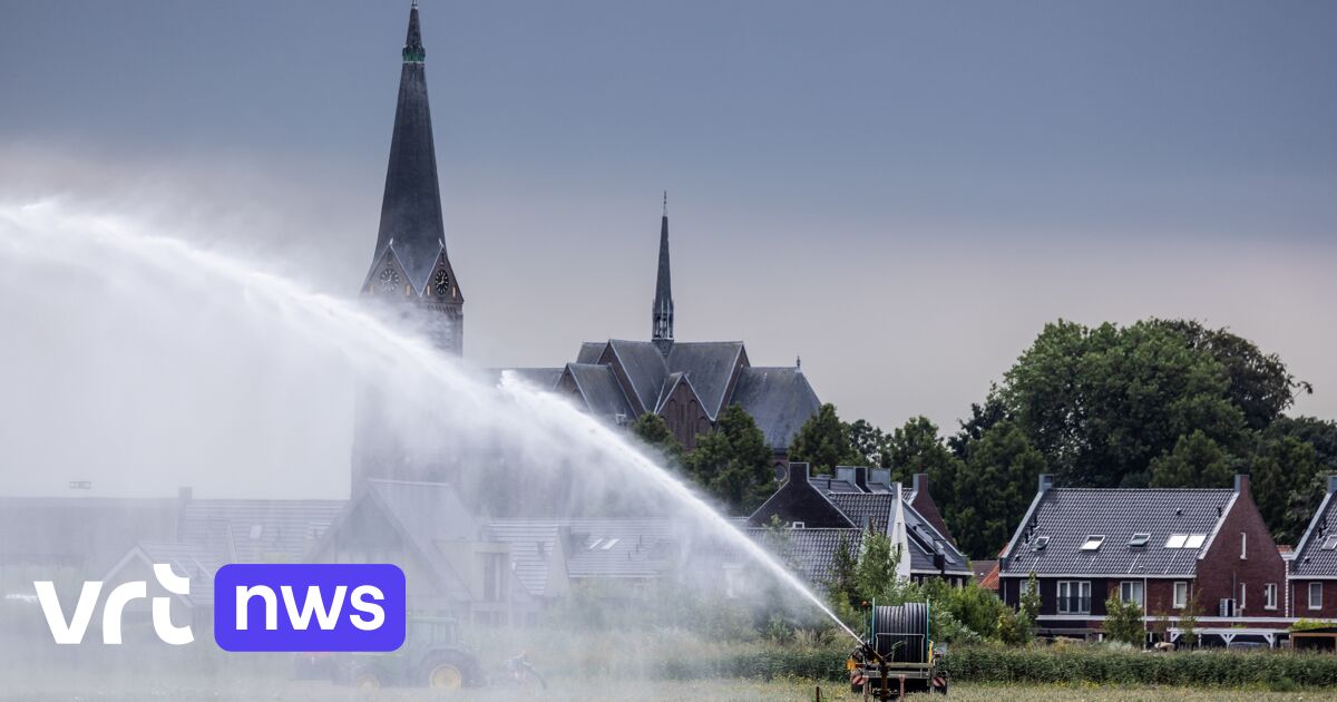 Higher prices, smaller produce & water shortages: heat takes toll on harvest