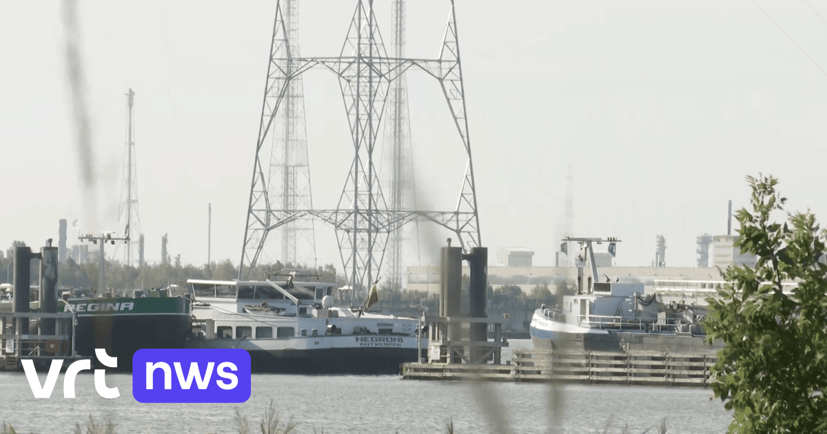 Energiesicherheit in unsicheren Zeiten: Hochspannungsleitung Brabo III im Hafen von Antwerpen offiziell eröffnet