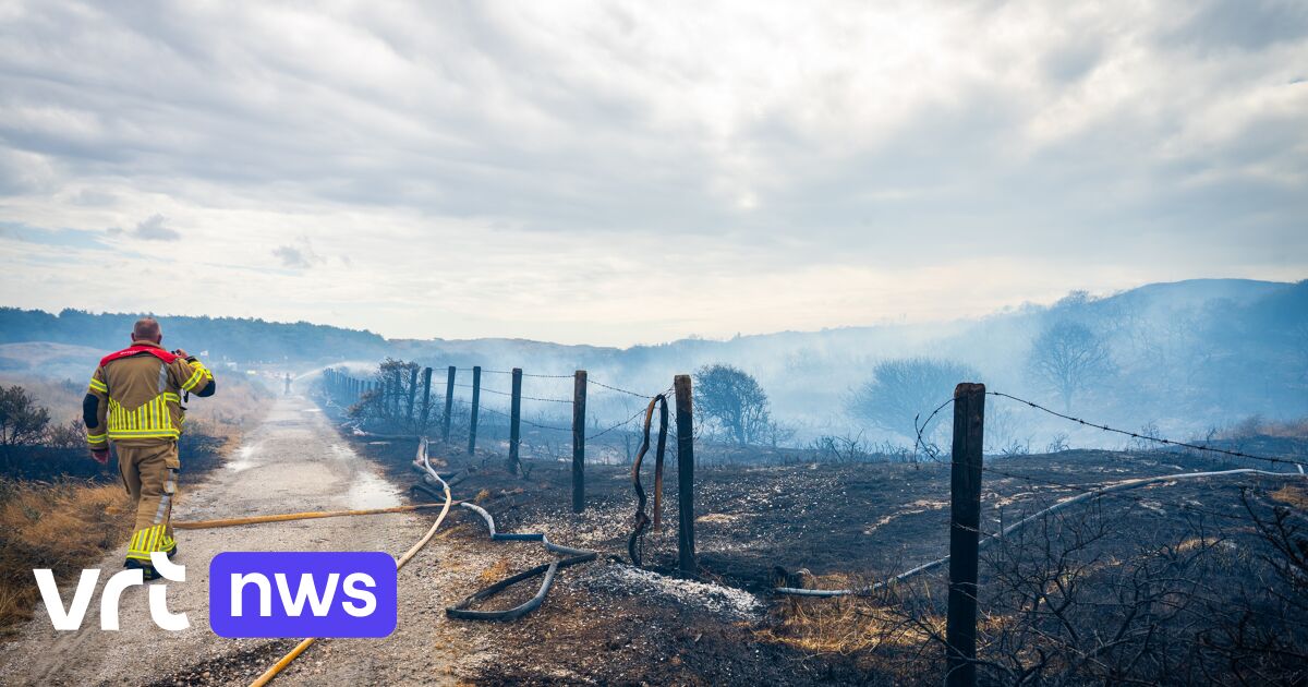 LIVE Branden in Nederlands-Limburg en in duinen van Wassenaar zijn onder controle