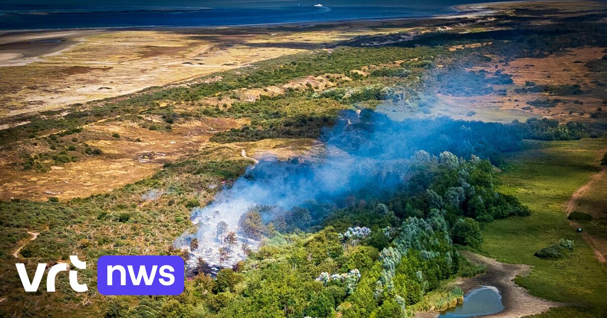 LIVE Bijna 1 hectare duinen afgebrand in Nederlandse badplaats Ouddorp