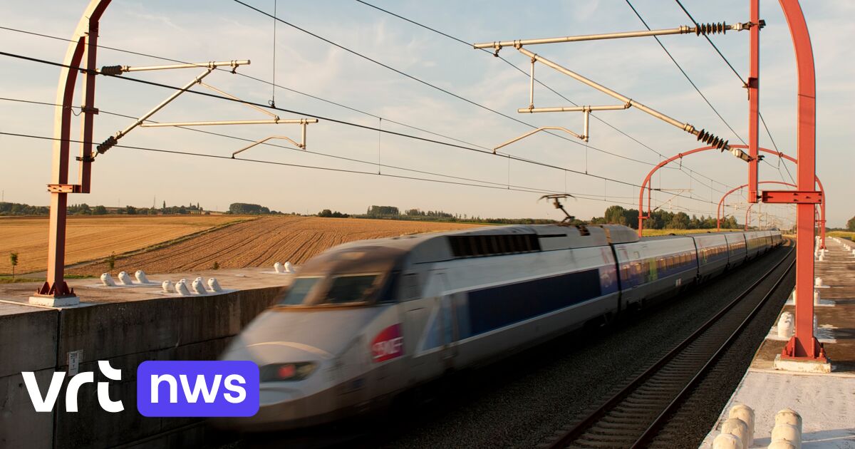 Les travaux de rénovation sur la ligne à grande vitesse entre Bruxelles et la frontière française perturbent aussi le service des trains S