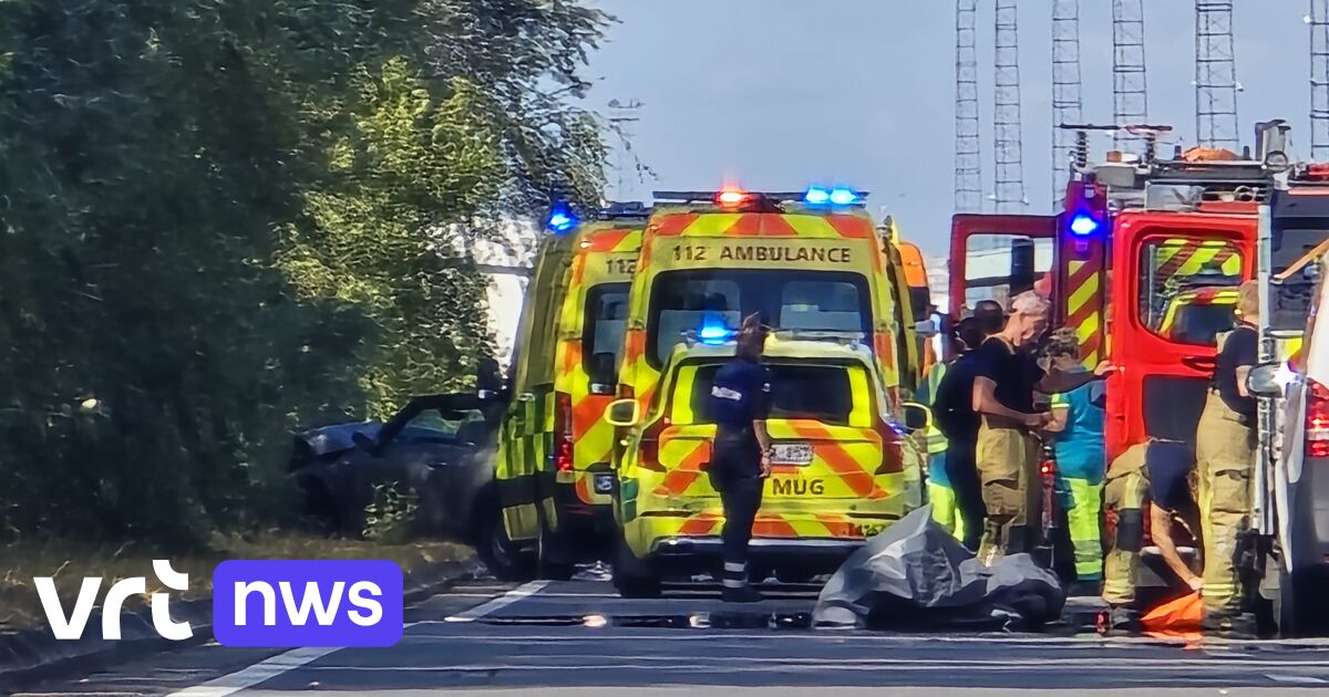 Bestuurder komt om het leven bij frontale botsing in Beveren-Kruibeke-Zwijndrecht