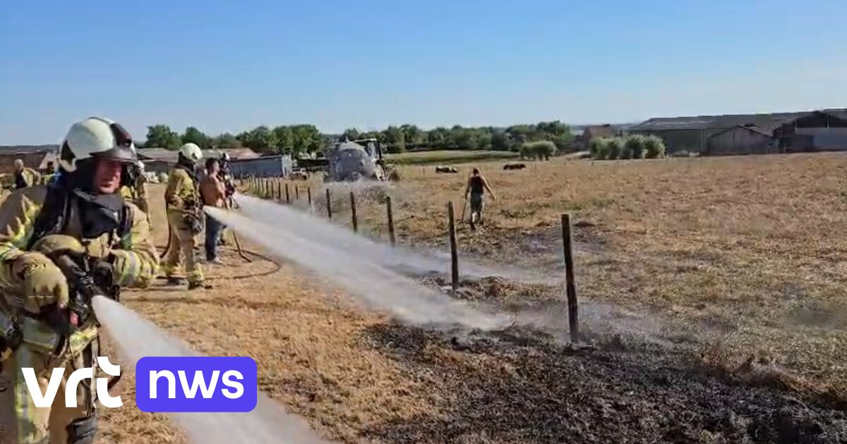 Brandweer rukt uit voor weidebrand in Nieuwkerke, boer helpt blussen met beerkar