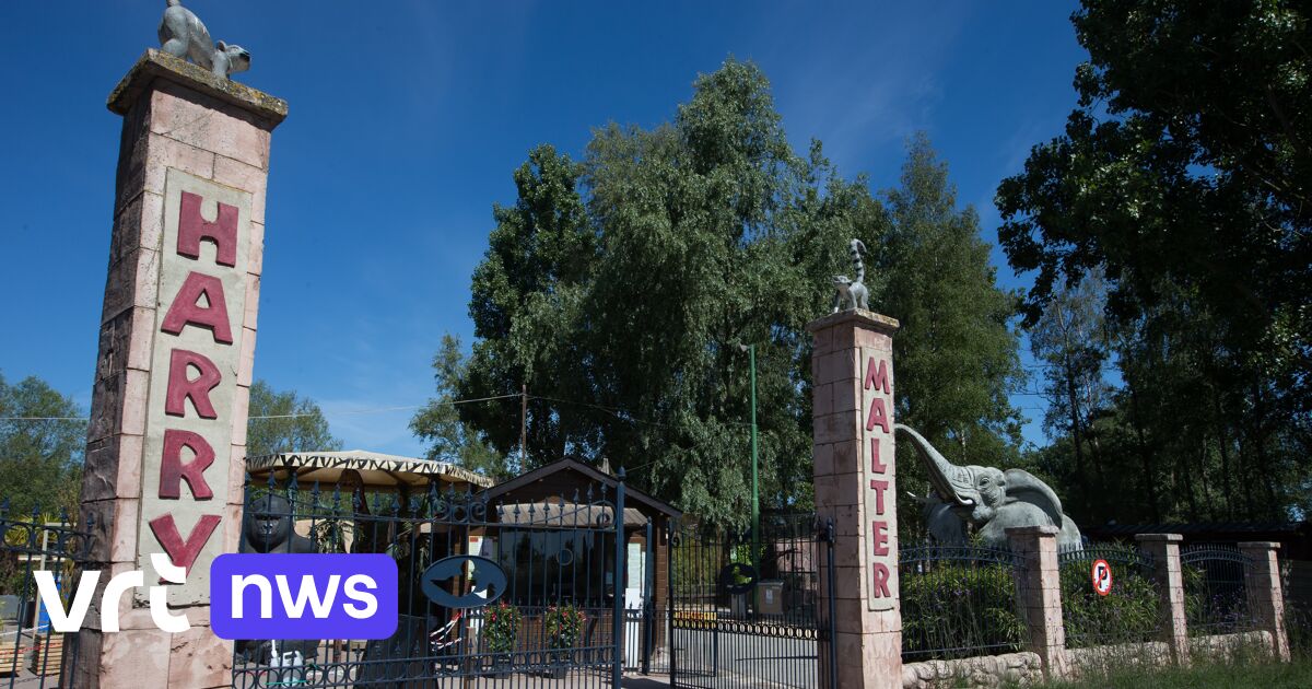 Dierenpark Harry Malter in Heusden ziet minder bezoekers door hete zomer, maar maakt zich weinig zor