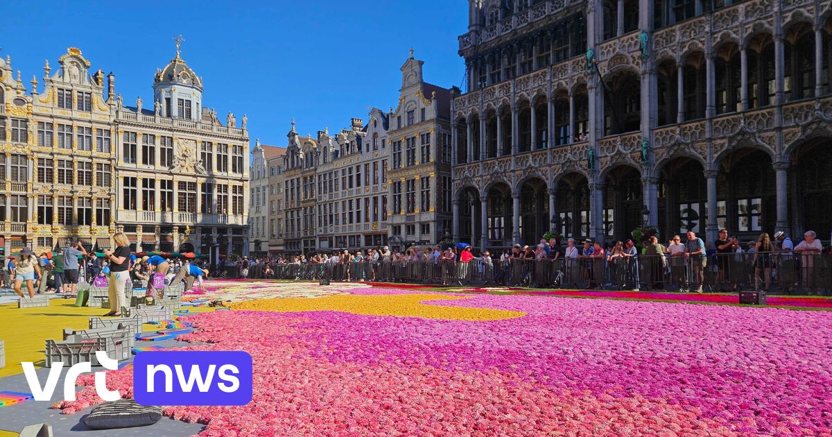 Der Blumenteppich auf dem Großen Markt in Brüssel feiert 160 Jahre belgisch-japanische Freundschaft