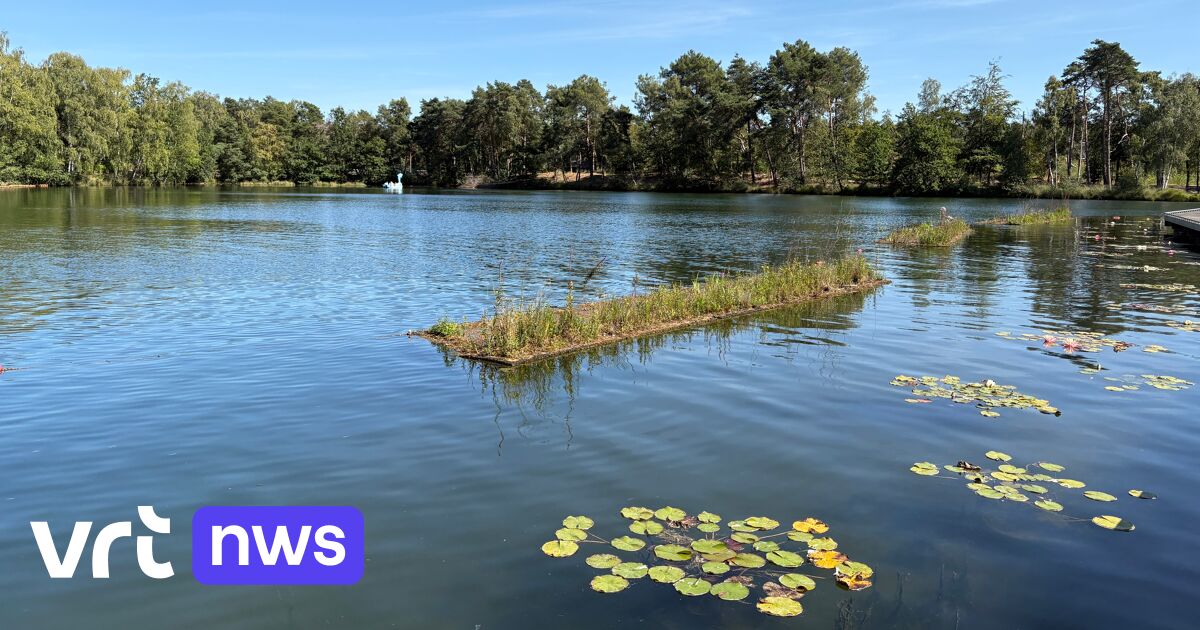 Zilvermeer stays free of blue-green algae thanks to floating plant islands