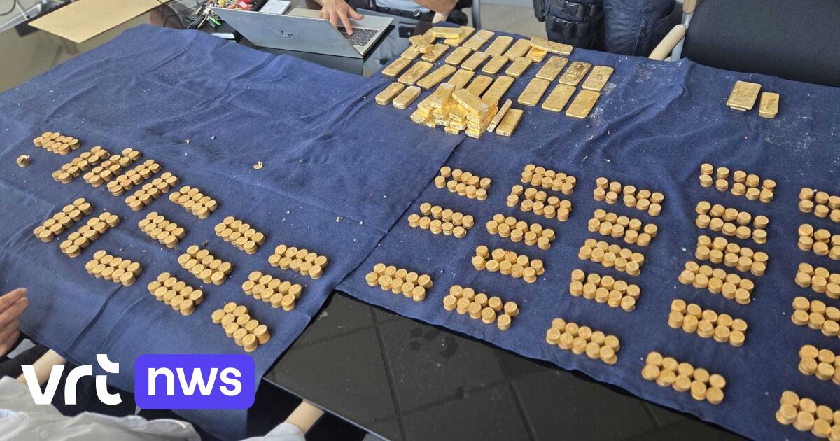 „Versteckt in einem früheren Leben“ oder „Es war Opa aus Lettland“: Angebliche Besitzer des Goldschatzes von Dendermonde melden sich bei der Polizei