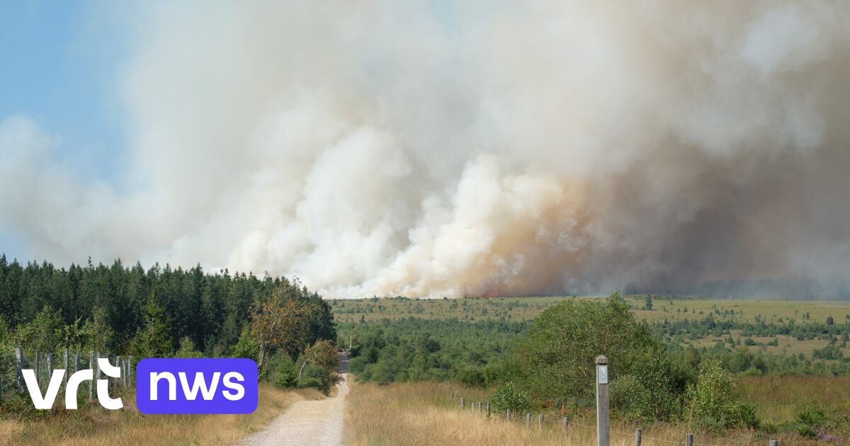 Brand im Hohen Venn in Ostbelgien - Provinzialer Notfallplan ausgerufen