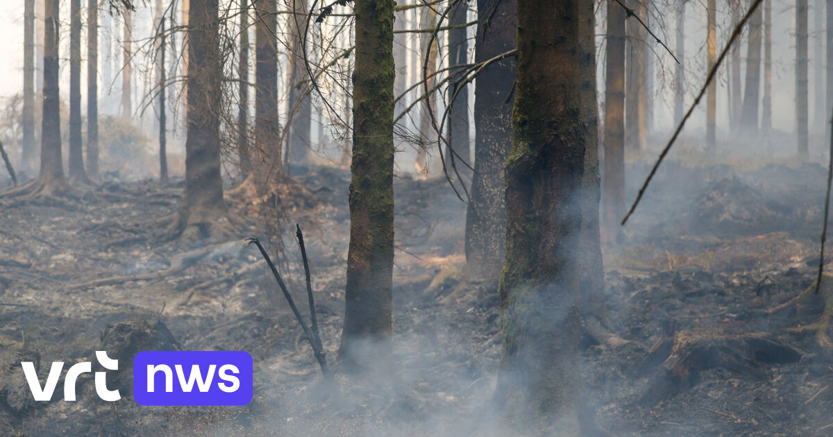 Limburgse brandweer in Hoge Venen ingezet aan Duitse grens: 