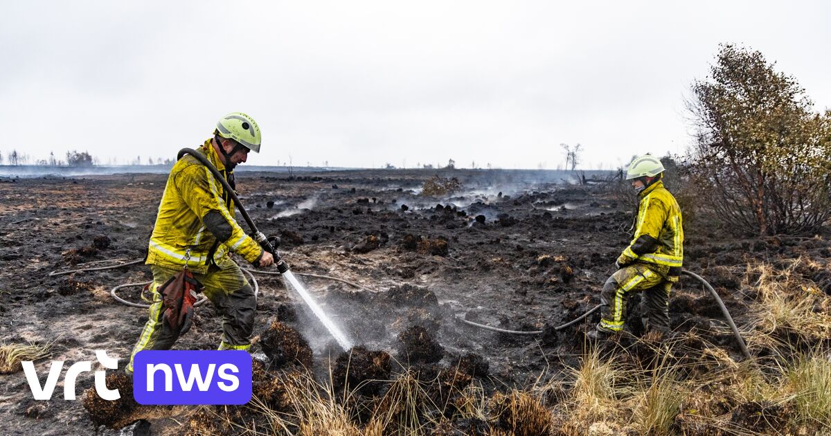 Großbrand im Hohen Venn: Der Wind erschwert die Löscharbeiten - Allgemeine Lage aber etwas entspannter
