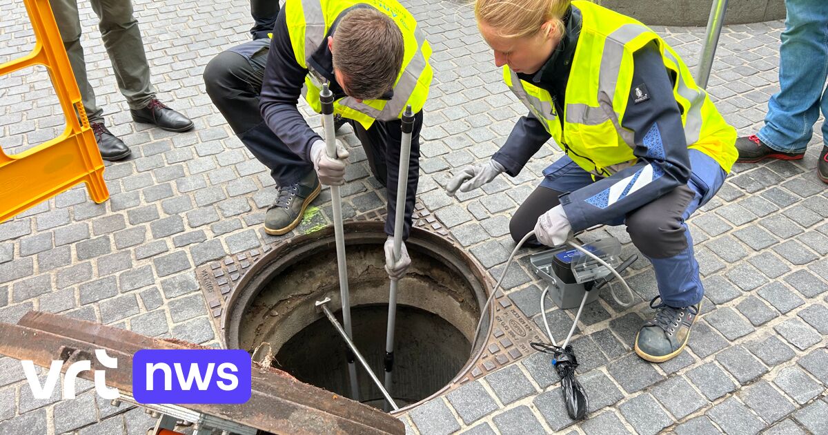 Leuven plaatst slimme rattenvallen in riolering van stadscentrum: 