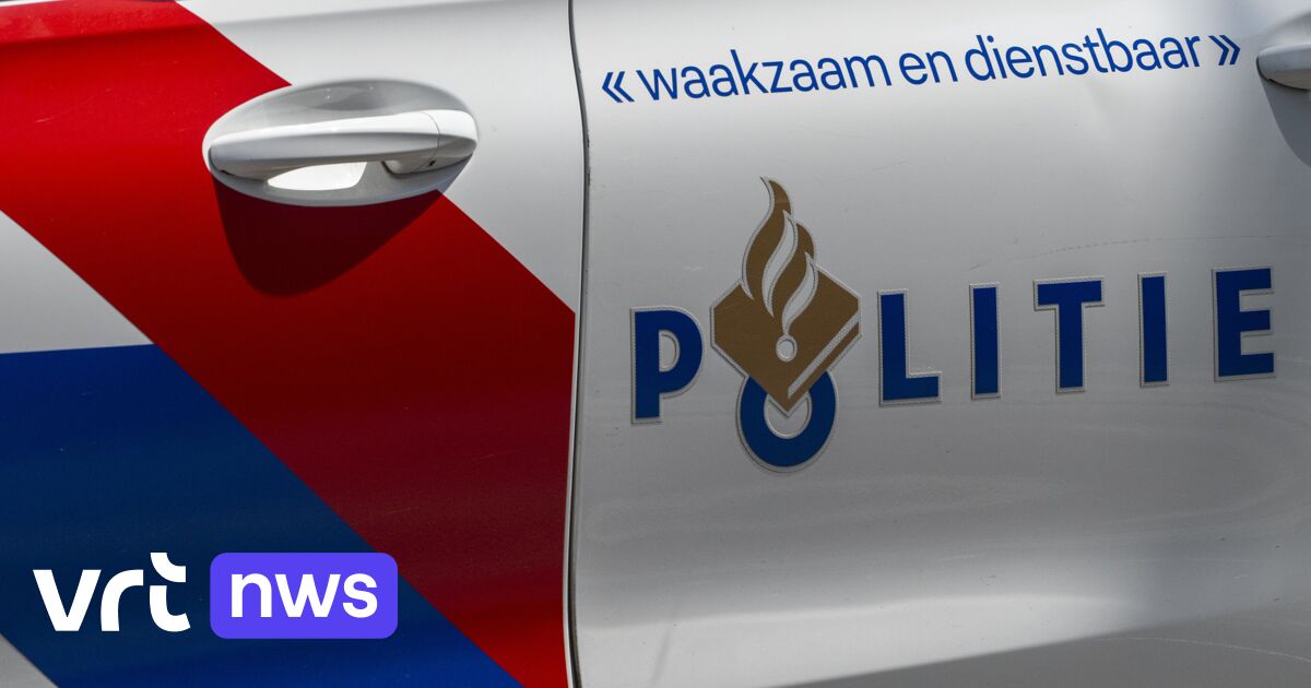 8 arrestaties na 10 huiszoekingen in Nederland en Pelt in onderzoek naar ladingdiefstallen en drugs