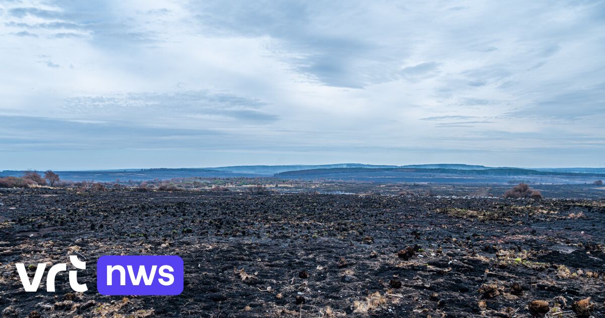 Noch immer sind im Hohen Venn rund 100 Rettungskräfte im Einsatz