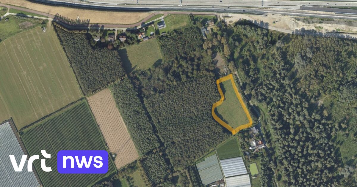 Vredesbos Zwijndrecht breidt uit met landbouwgrond, maar eerst moet de PFAS er weg