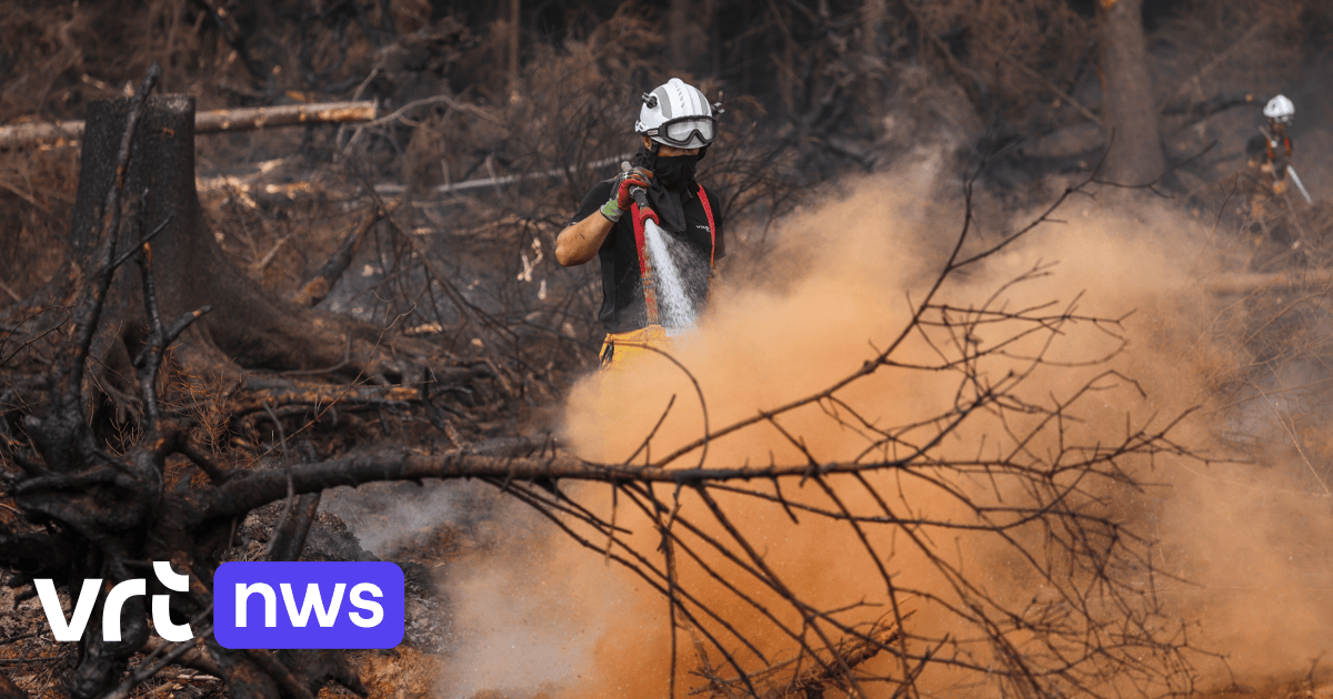 Photo: vrt.be Limburgse brandweer stuurt opnieuw ploegen naar Hoge Venen voor heropflakkeringen | VRT NWS Nieuws