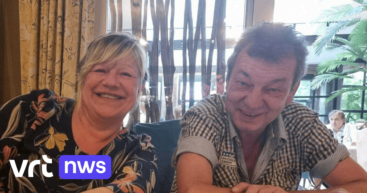 Eddy (60) uit Ninove hersendood na steek door Aziatische hoornaars: 