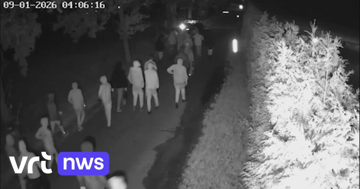 Van drugsgeweld in ons land tot ontvoering: verdachten van strafexpeditie in Overasselt hadden al cr