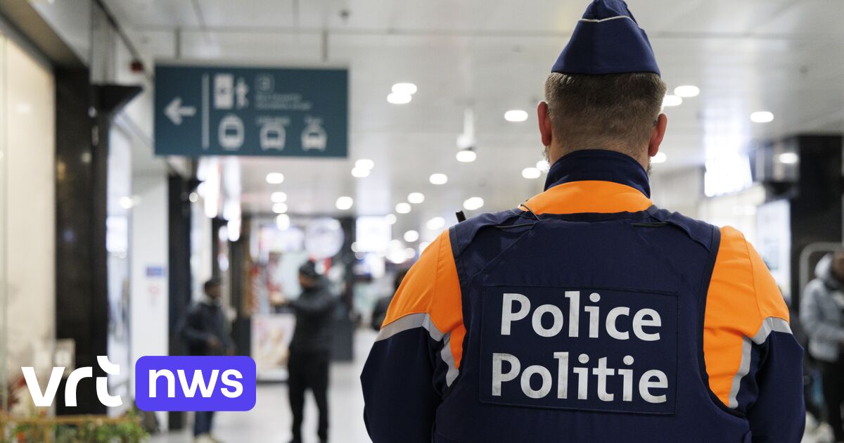 Less than half of Brussels police officers are bilingual