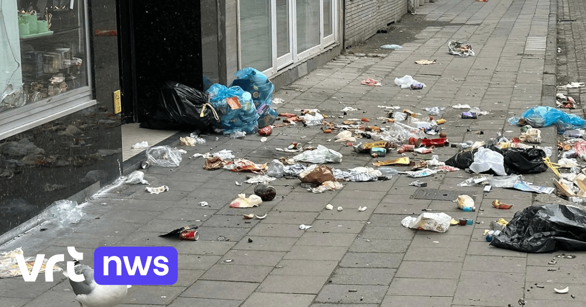 Oostende voert verplichte gft-ophaling in: meeuwbestendige bak moet overlast verminderen